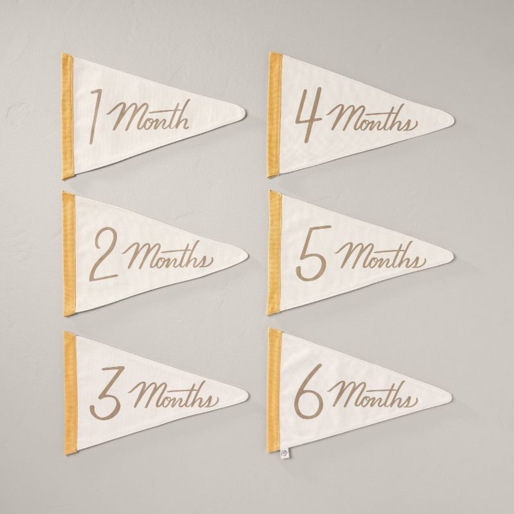 Newborn Milestone Pennants 6pc - Hearth & Hand™ with Magnolia